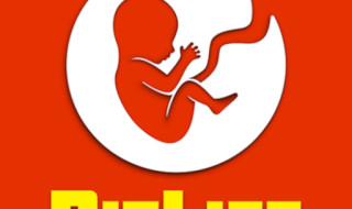BitLife