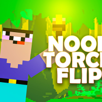 Noob Torch Flip 2D